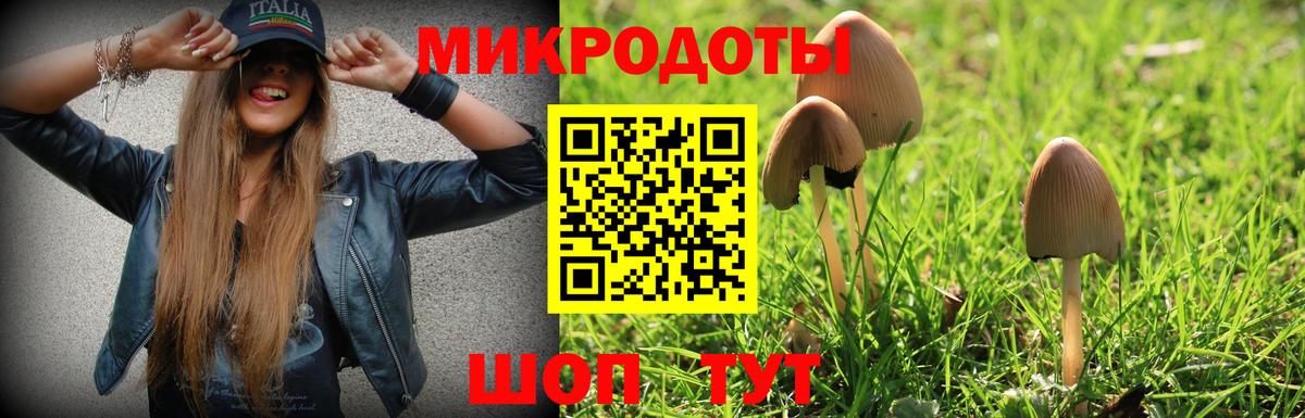 Грязи  Псилоцибиновые грибы Cubensis  Вход с VPN 