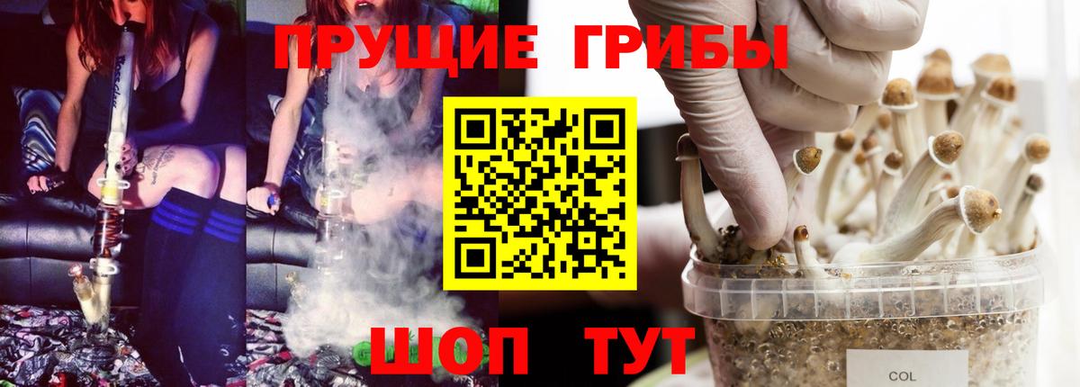 Псилоцибиновые грибы мухоморы Грязи